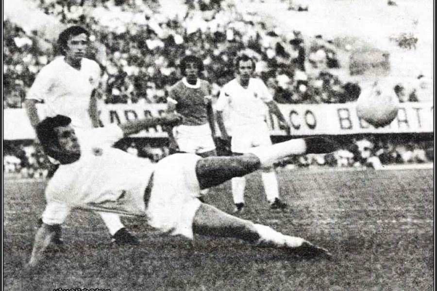 Bajevićevih trinaest tog ljeta u Brazilu