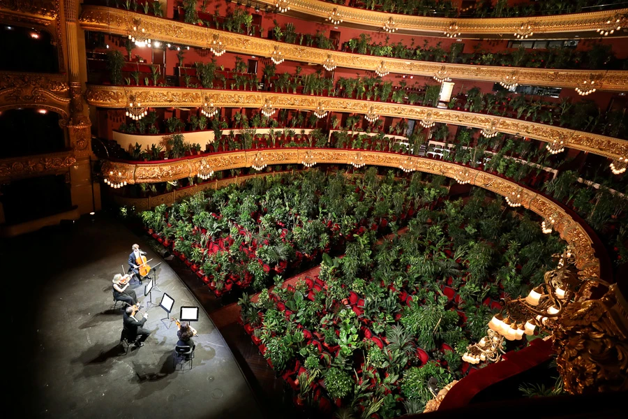 Koncert za biljke u Barceloni