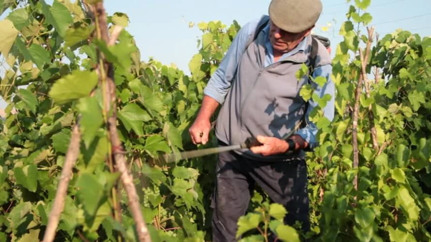 Preporuka poljoprivrednim proizvođačima: Biljke držati po totalnom zaštitom
