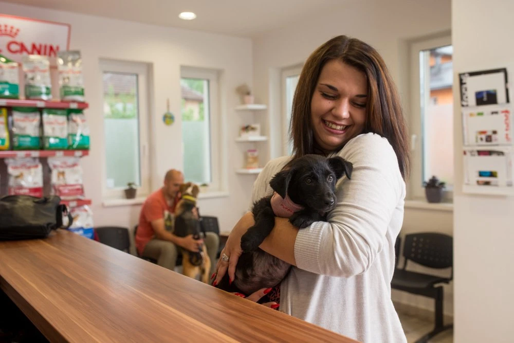 Fondacija Dogs Trust o pojavi slučaja bjesnila