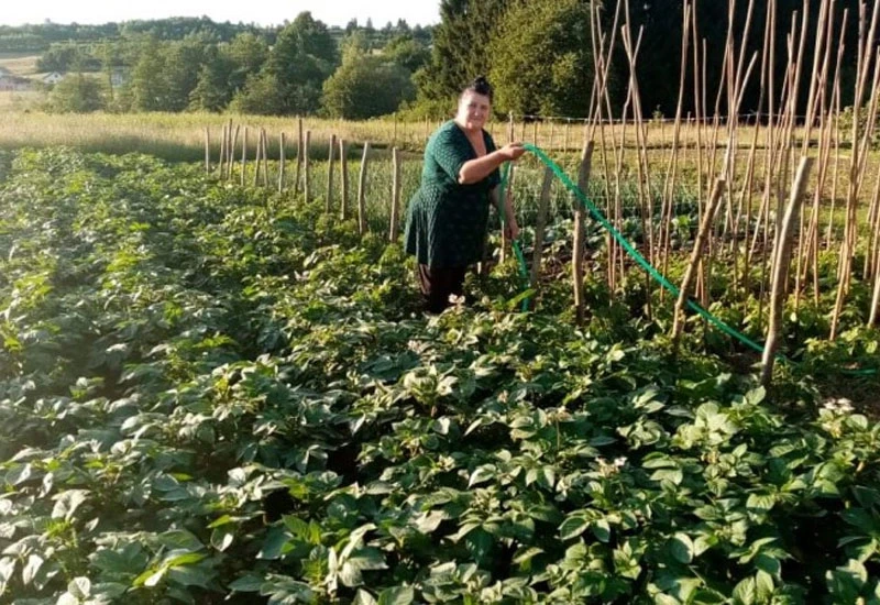 Bugojanka se nakon teškog perioda okrenula poljoprivredi: Treba biti optimist