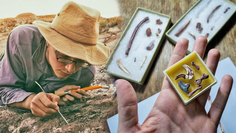 U Argentini pronađeni ostaci krilatog dinosaura mesoždera