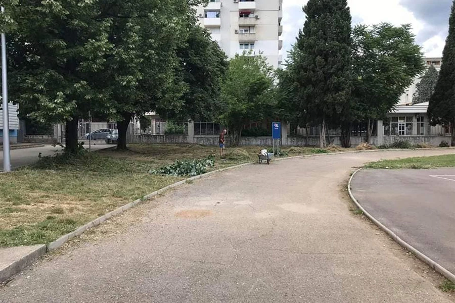 Nisu samo profesori počistitili kampus, pravi heroj je Džemo!
