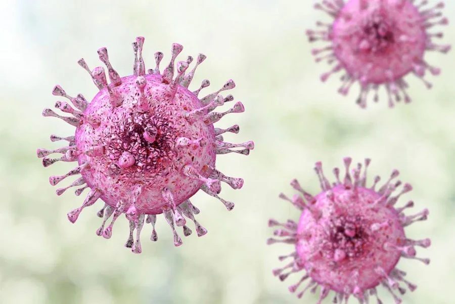 Epidemija virusa herpesa: Zaraženo više od 3,7 milijardi mlađih od 50
