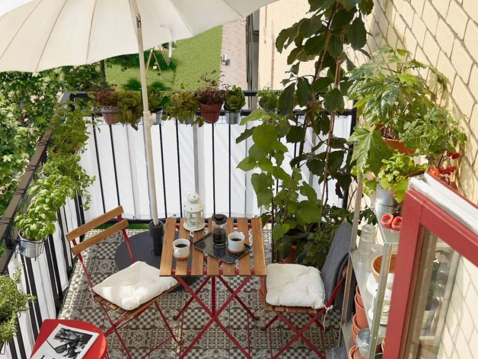 Biljke idealne za vaš skučeni balkon