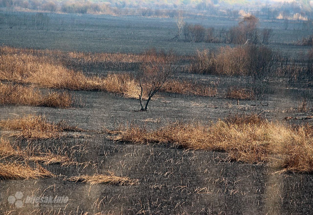 Opet gori Park prirode Hutovo Blato