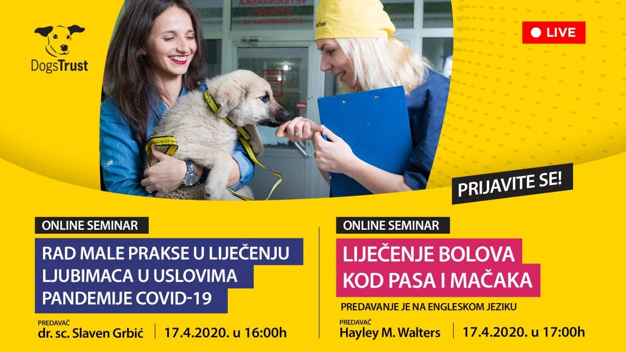 Dogs Trust otvara platformu za seriju besplatnih stručnih webinara