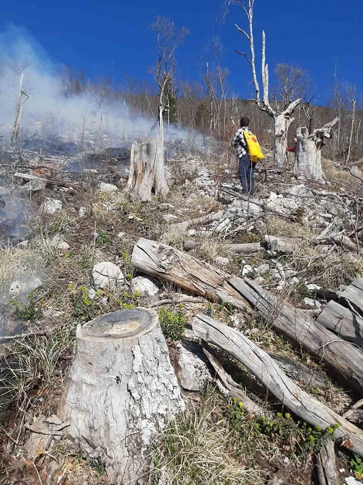 Jer nas se tiče: Gasili požar iznad naselja Kuti i Livač