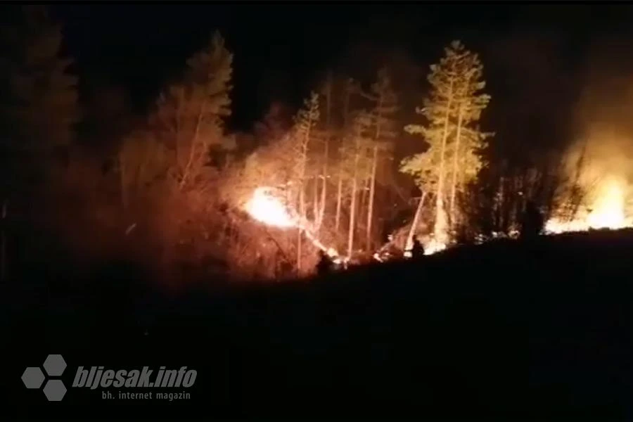 Požar u Ljutom Docu, velik broj vatrogasaca na terenu