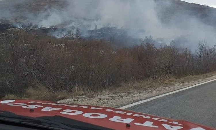 Kod Tomislavgrada požar prijeti proširiti se na visoku šumu