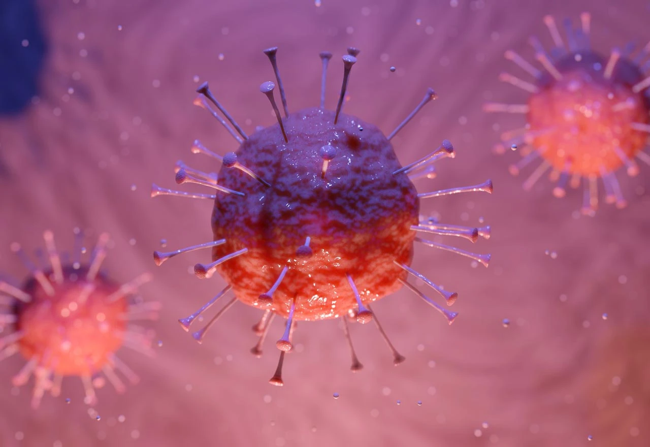 Komšić pobijedio virus, čeka se Čović