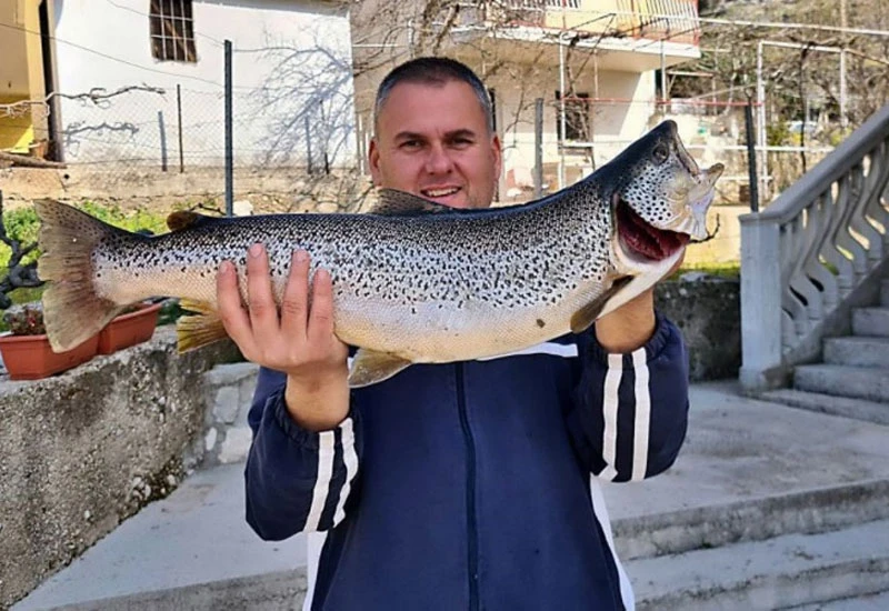 Hercegovac ulovio pastrvu kapitalca