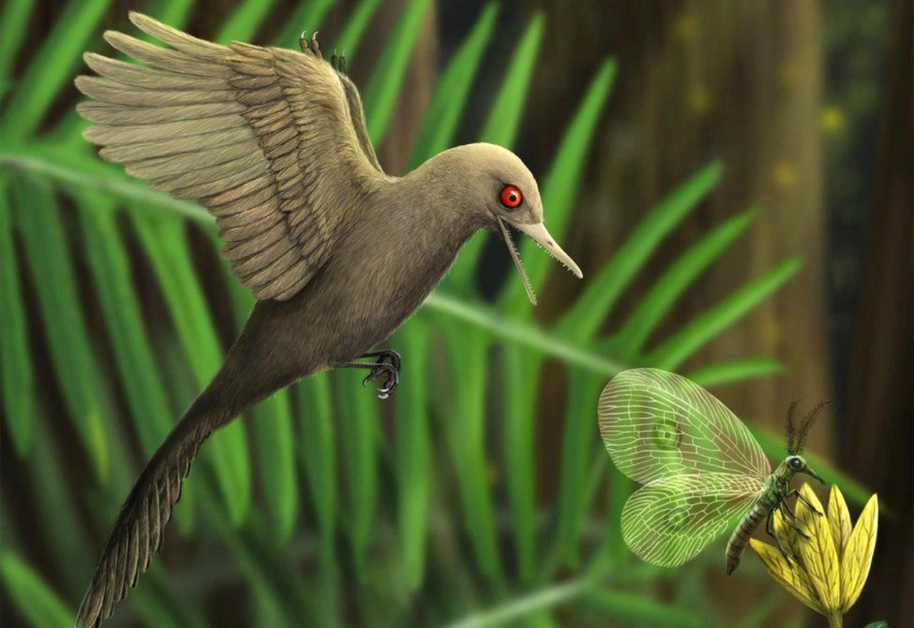 Kako je izgledao najmanji dinosaurus na svijetu?