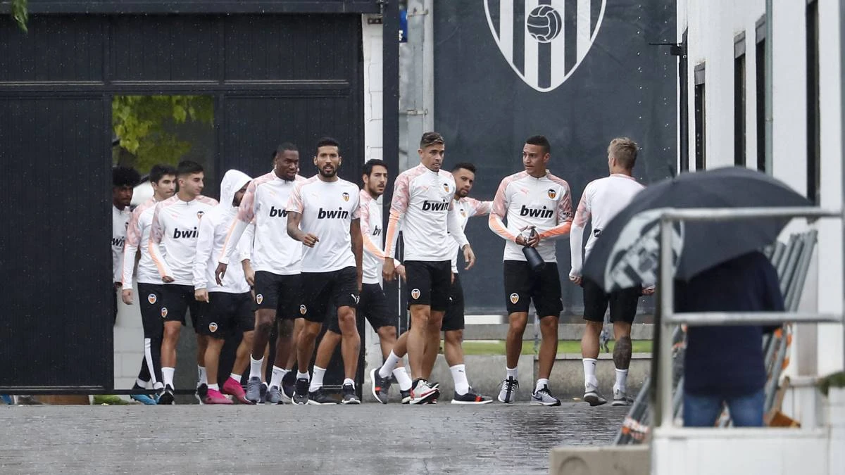 Valencia potvrdila: Čak trećina ''Šišmiša'' zaražena koronavirusom!