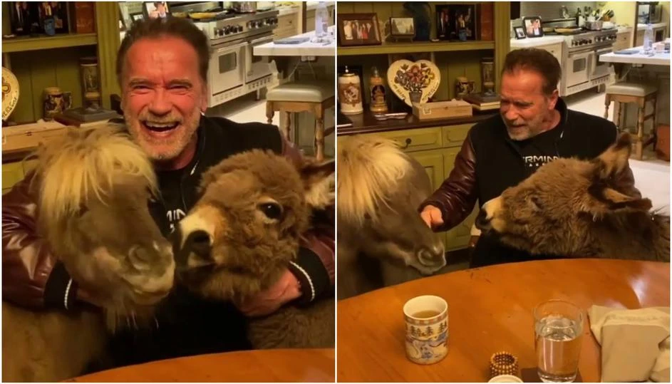 Schwarzenegger hrani ljubimce u samoizolaciji: Ostanite doma, ne izlazite!