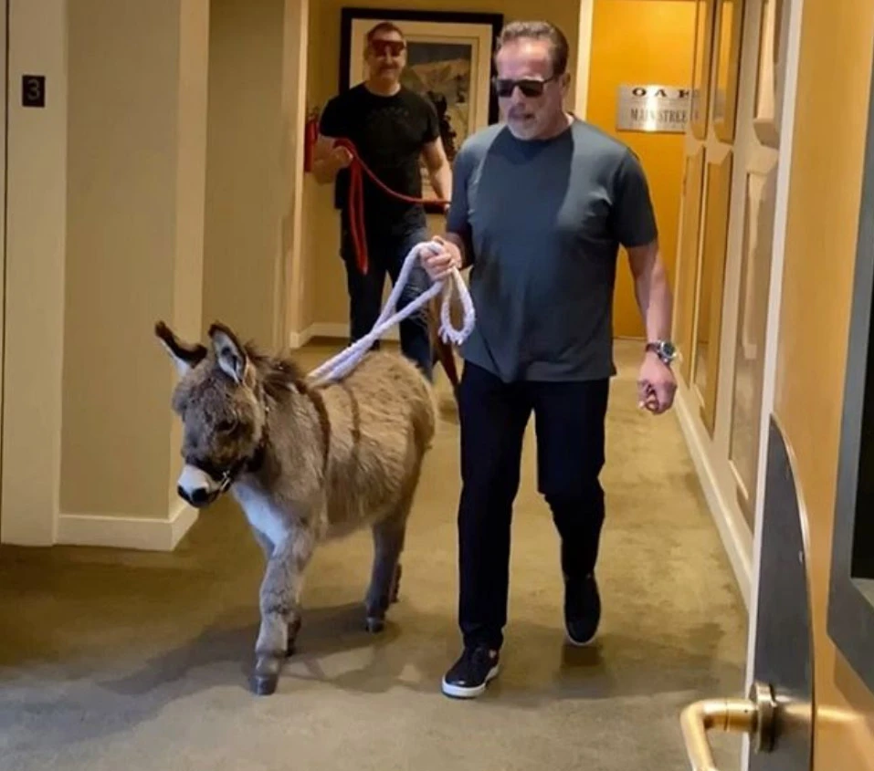 Schwarzenegger na posao doveo magare