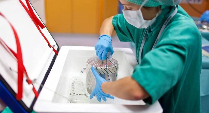 U BiH prijatelj ne može biti donor bubrega