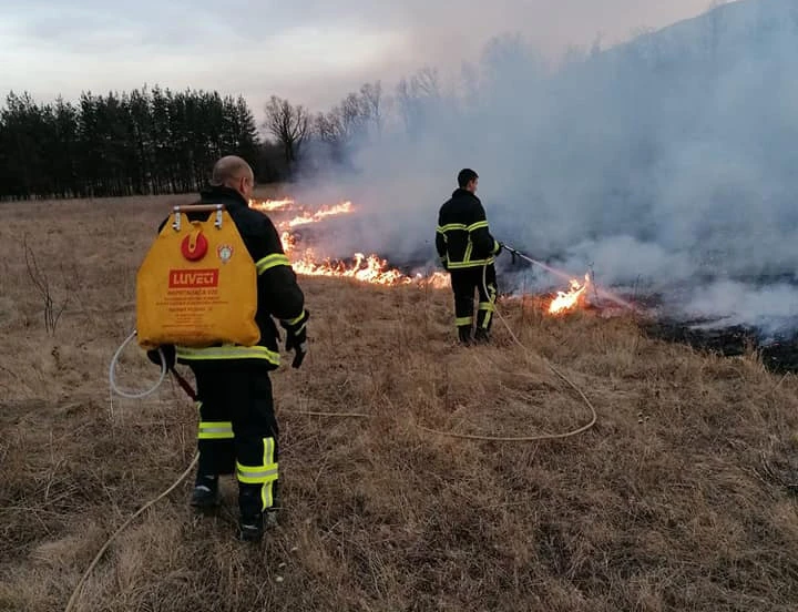 Vatrogasci spasili azil za napuštene pse