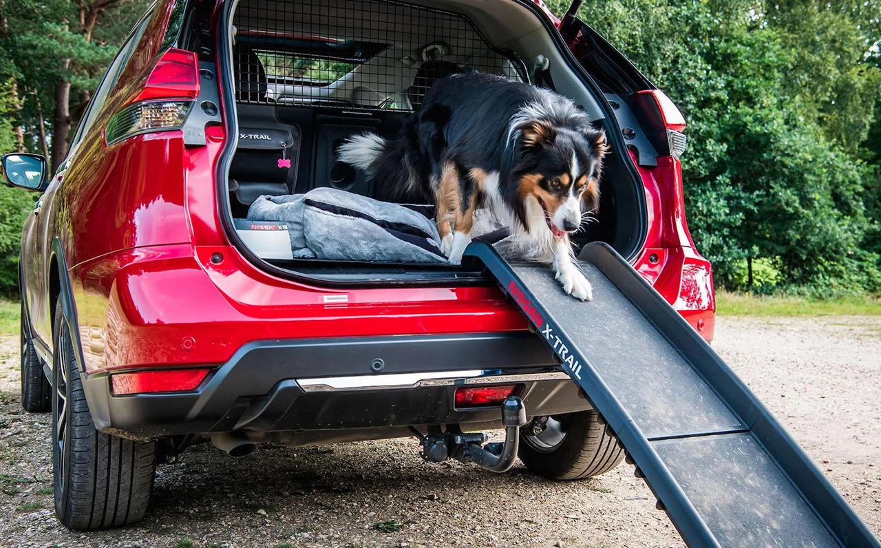 6 automobila stvorenih za pse