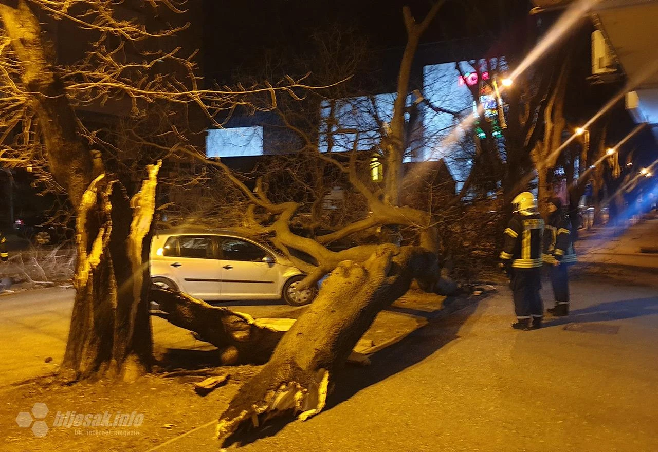 Orkanska bura u Mostaru lomila stabla i oštetila automobile