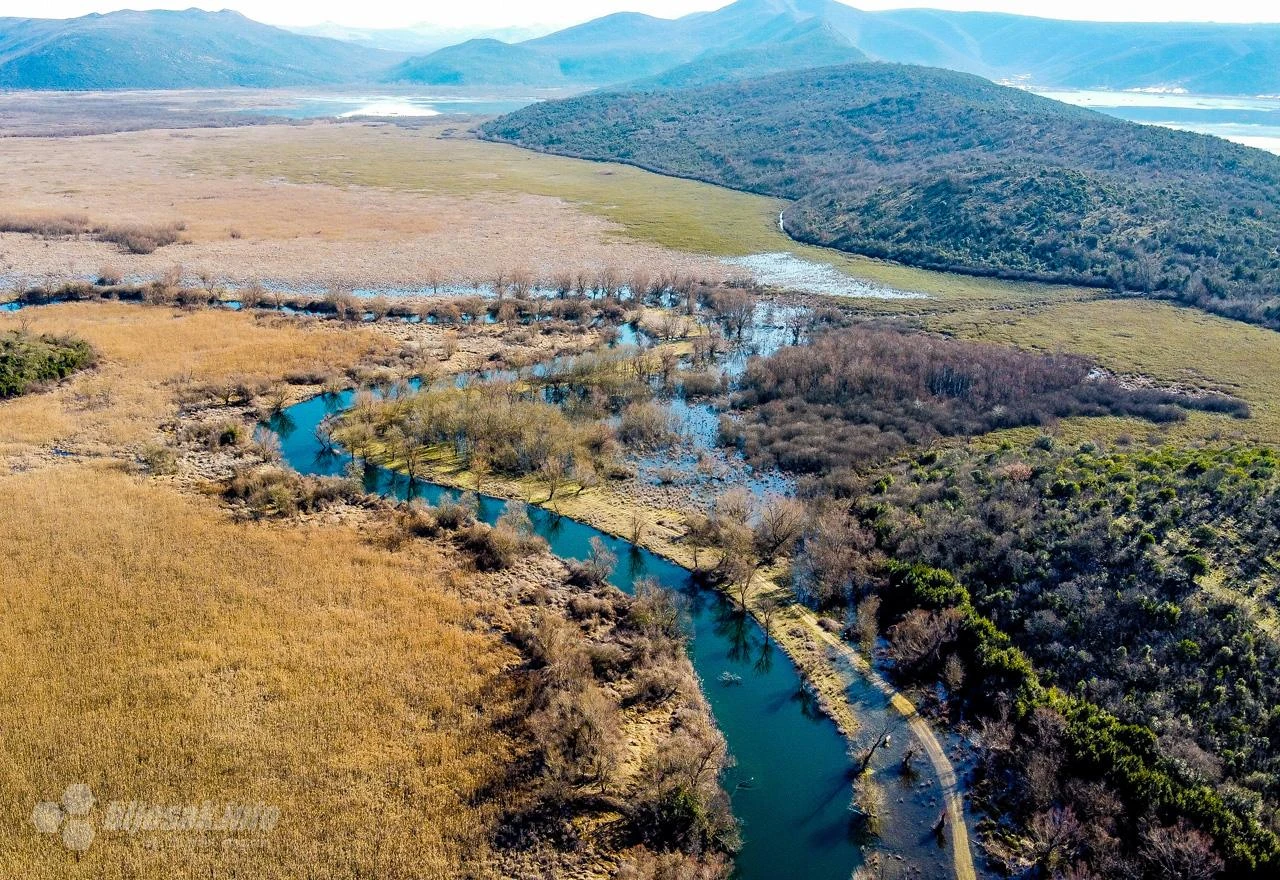 Očuvane močvare ključne za opstanak prirode i ljudi