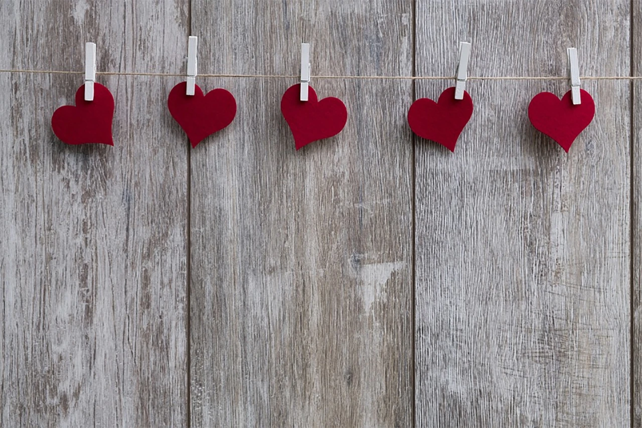Ususret Valentinovu: Raspisan literarni natječaj na temu „Ljubav je…“