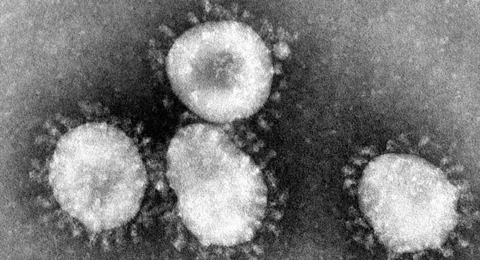 SARS – nova globalna zdravstvena opasnost?