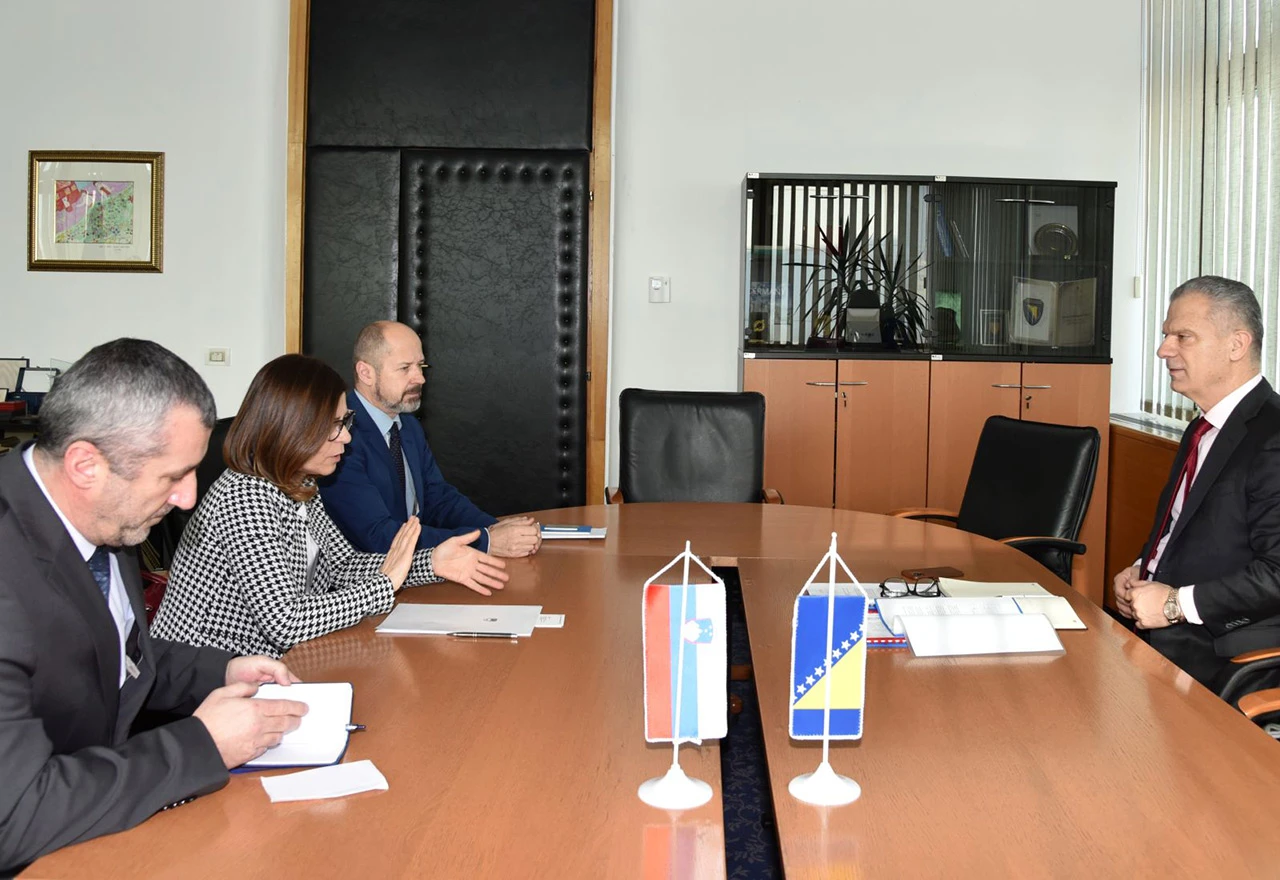 Reformski proces: Iskustva Slovenaca za primjer BiH