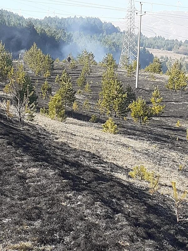 Tri požara na području Tomislavgrada, jedna osoba uhićena