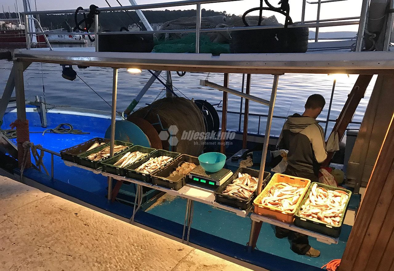 Hrvatska riba je sve popularnija delicija u inozemstvu