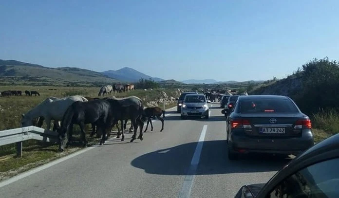 Posebno upozorenje za vozače na dionici Šuica-Livno