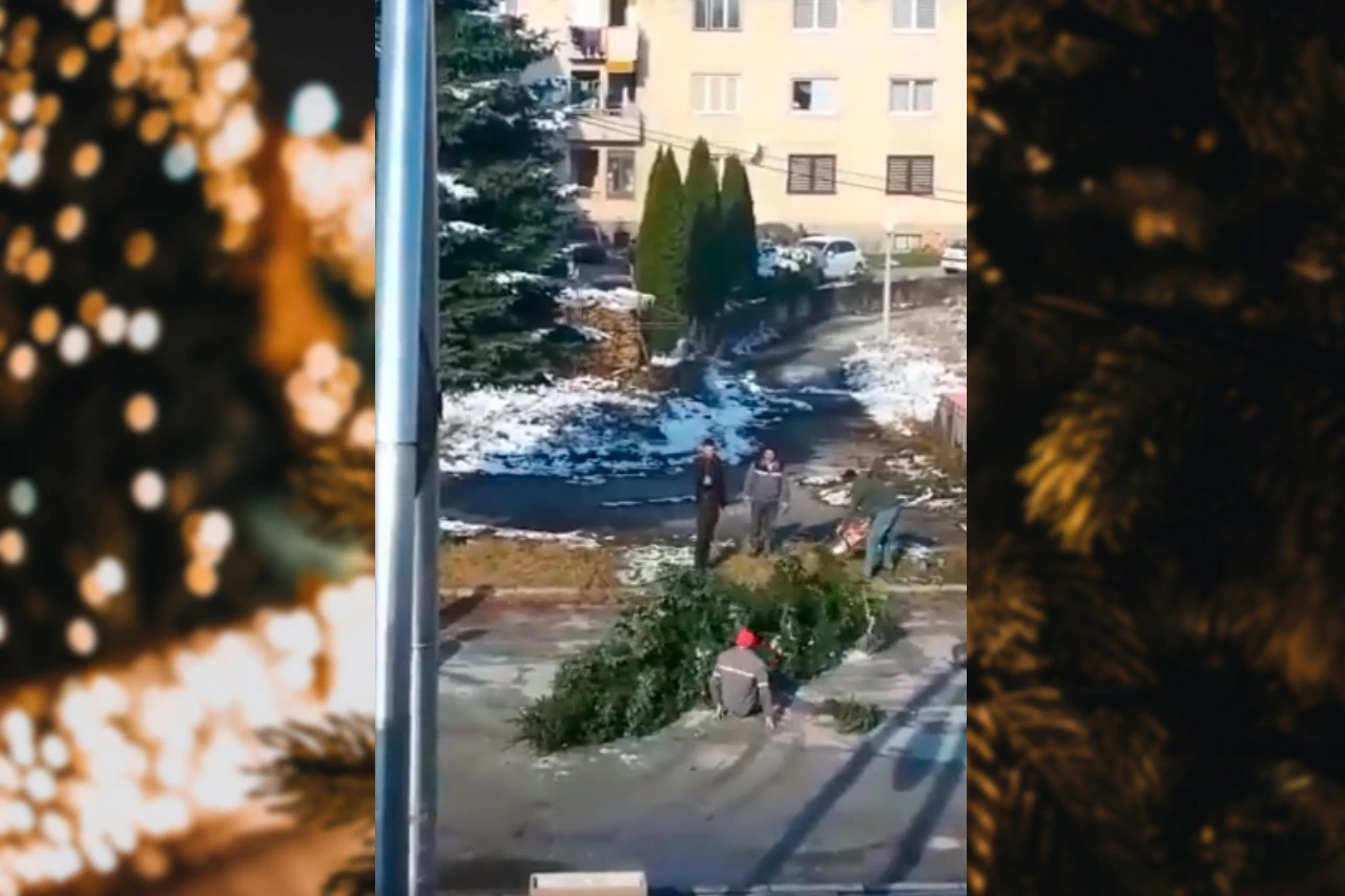 Smiješni video: Organiziranje Božića na 'viteški' način