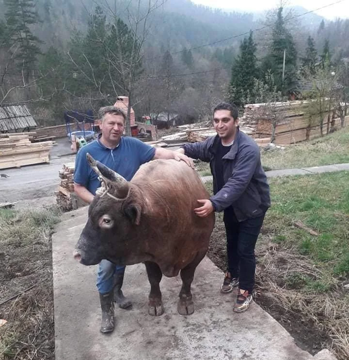 Za Medonju posljednji ispit ove godine na Park Areni