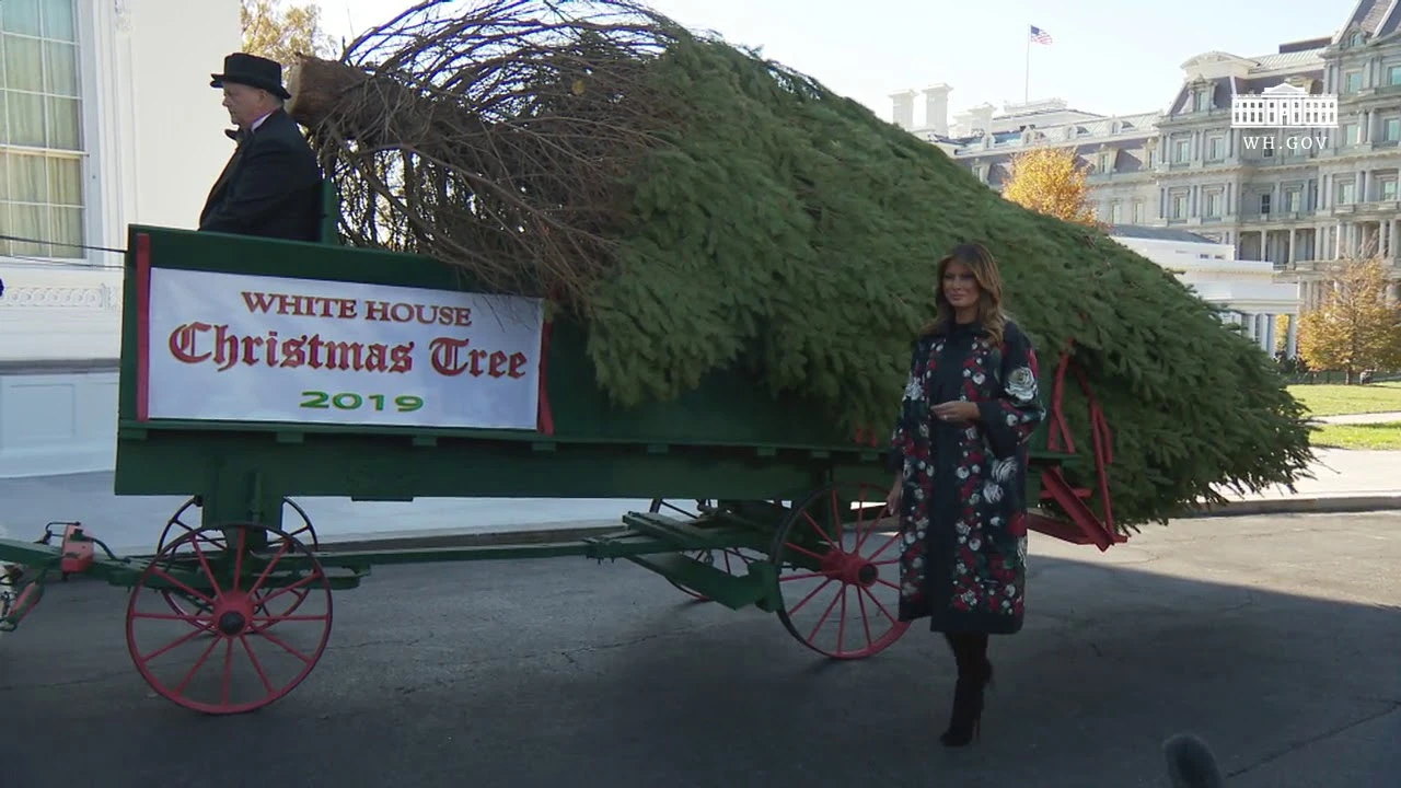 Melania preuzela božićno drvce za Bijelu kuću