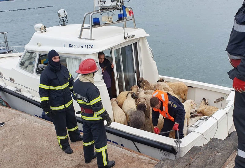 Prevrnuo se brod s 14.000 ovaca
