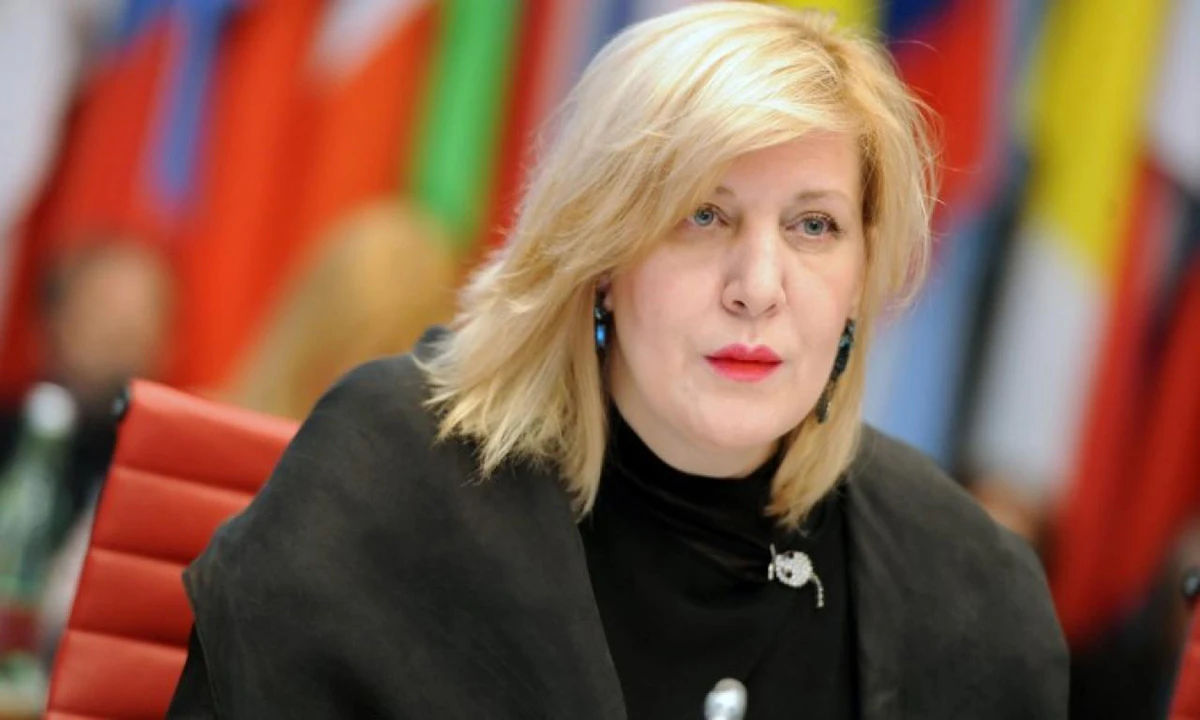 Mijatović osudila falsificiranje činjenica o zločinu u Tuzli