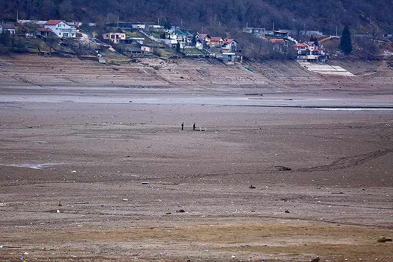 Jezivo na Jablaničkom jezeru
