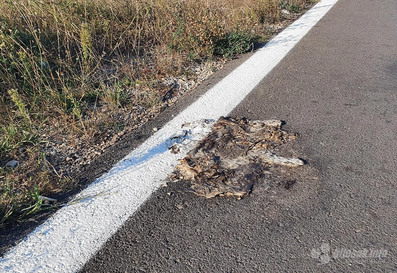 Samo temeljito: Prelazimo preko svega u Rodoču