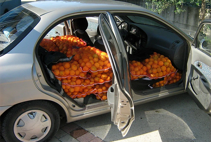 Lov u Hercegovini: Pali krijumčari mandarina i duhana