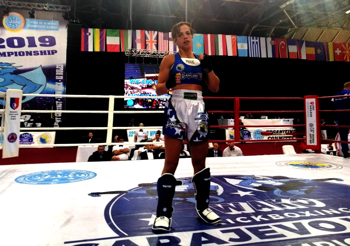 Bronca za BiH u kickboxingu