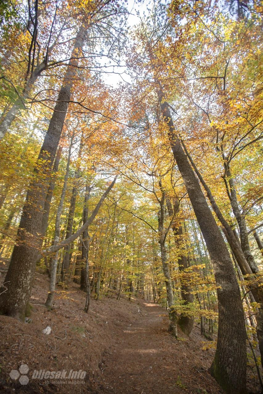 FOTO|Odmorite oči: Jesenja idila na Rujištu