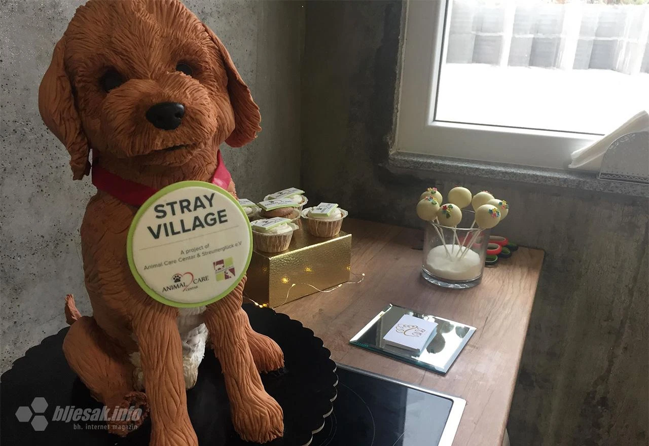 Traži se više djelatnika za brigu i rad sa psima u Stray Villageu