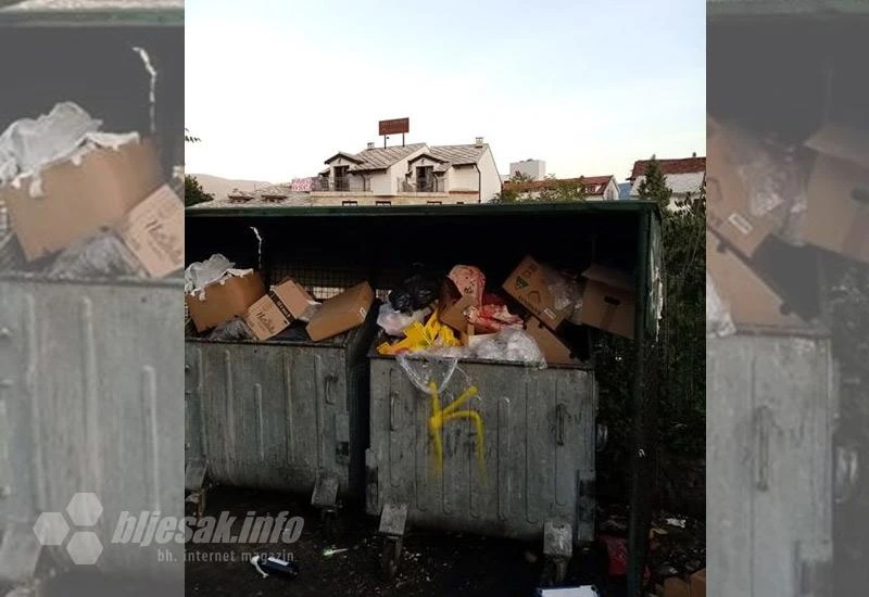 Životinja u kontejneru za mostarske turiste