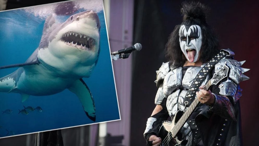 Slavna grupa Kiss nastupat će pod vodom: Koncert za fanove i – morske pse!