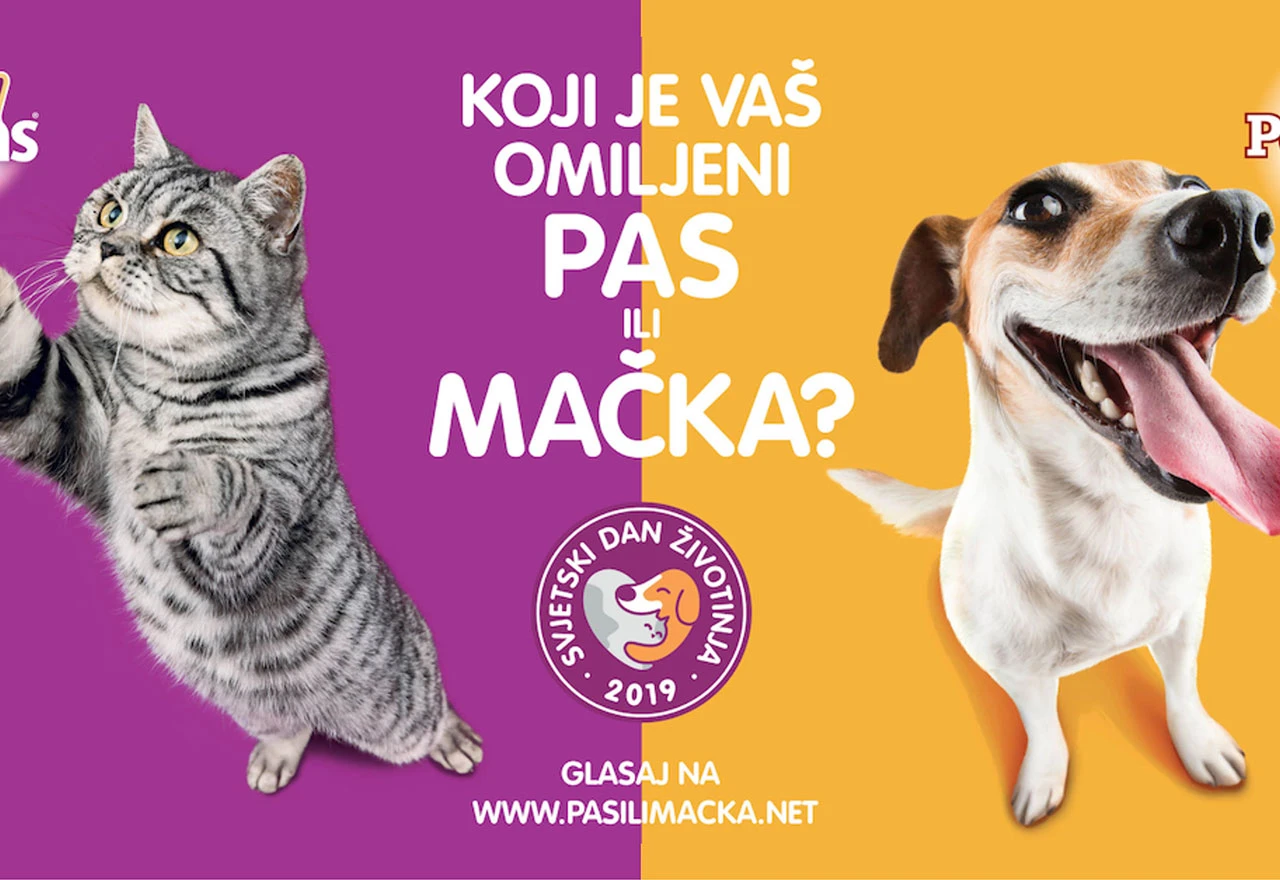 Koji je vaš omiljeni ljubimac - pas ili mačka?