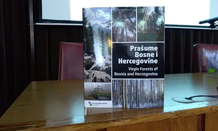Šume pokrivaju oko 56 posto teritorije BiH