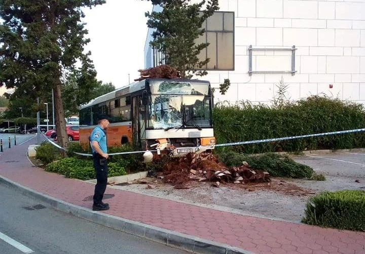 Ukrali autobus i divljali po Dubrovniku
