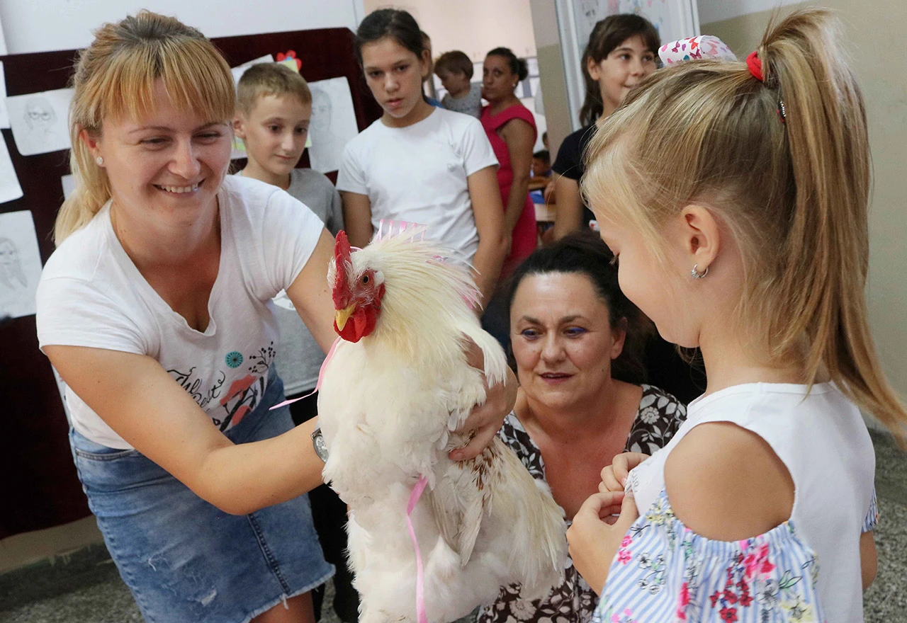 Đaci učiteljici darovali pijetla prvog dana škole