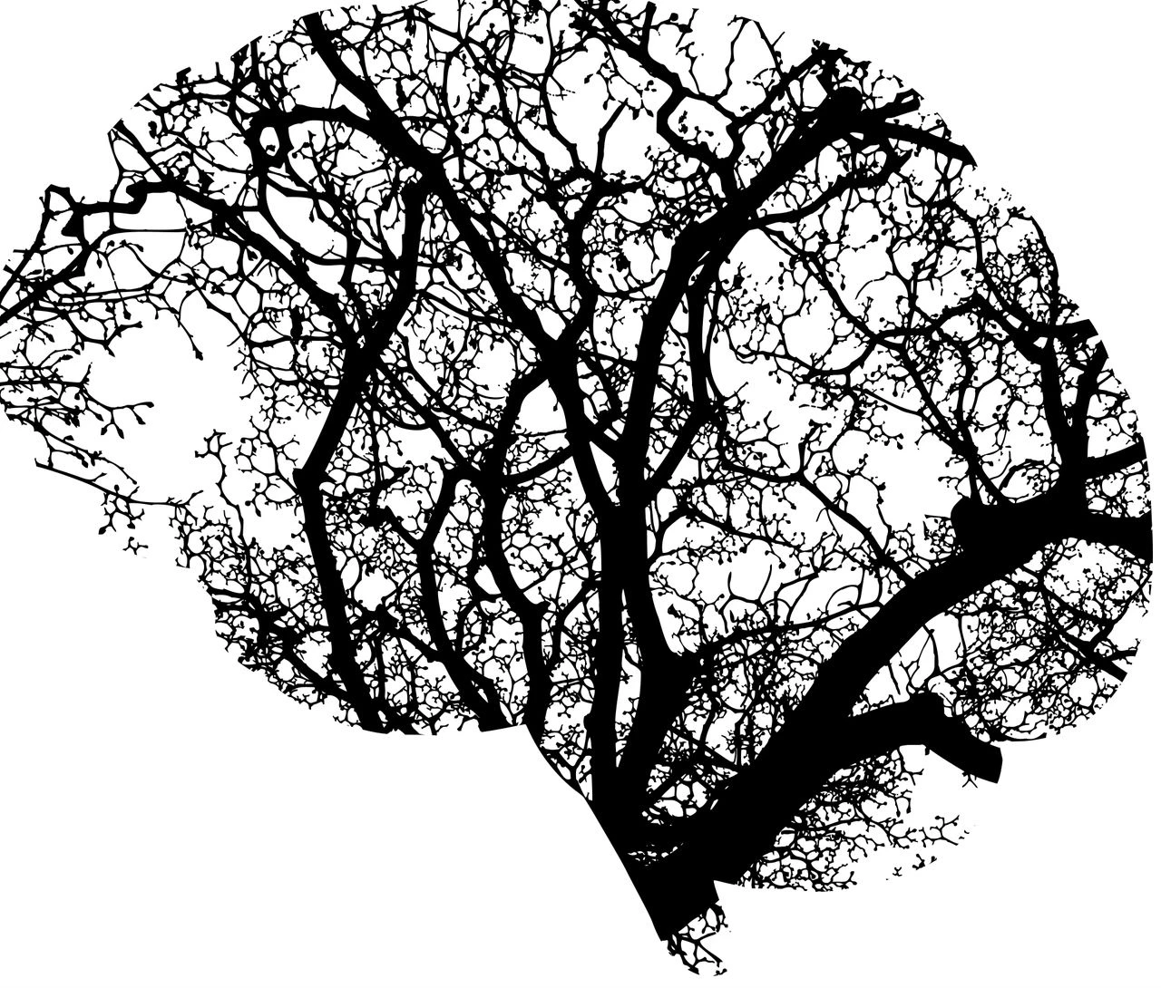 5 znakova visoke inteligencije