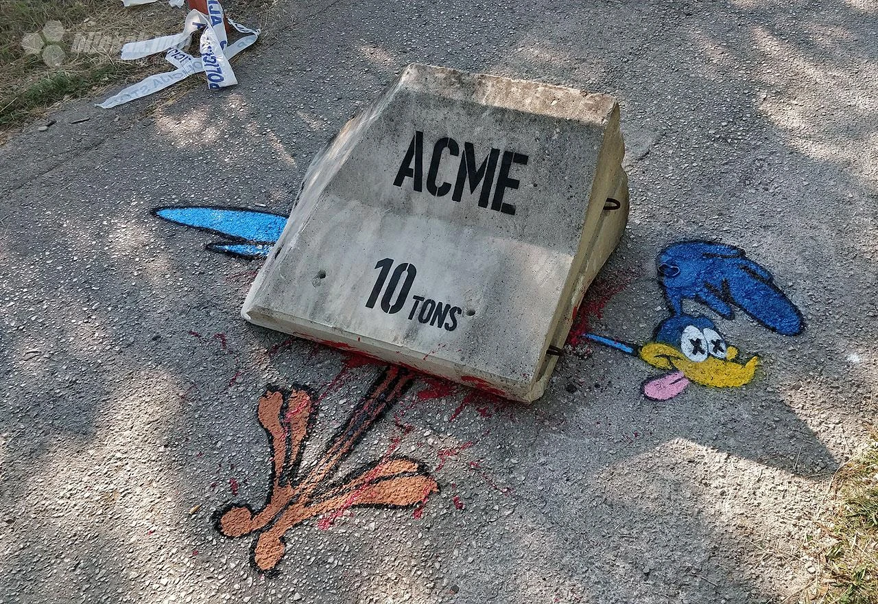 U Širokom Brijegu stali u kraj Ptici Trkačici